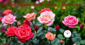 Roses